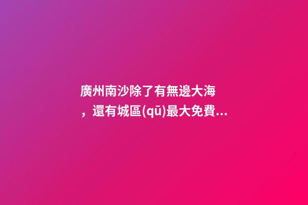 廣州南沙除了有無邊大海，還有城區(qū)最大免費(fèi)森林公園，名字拗口